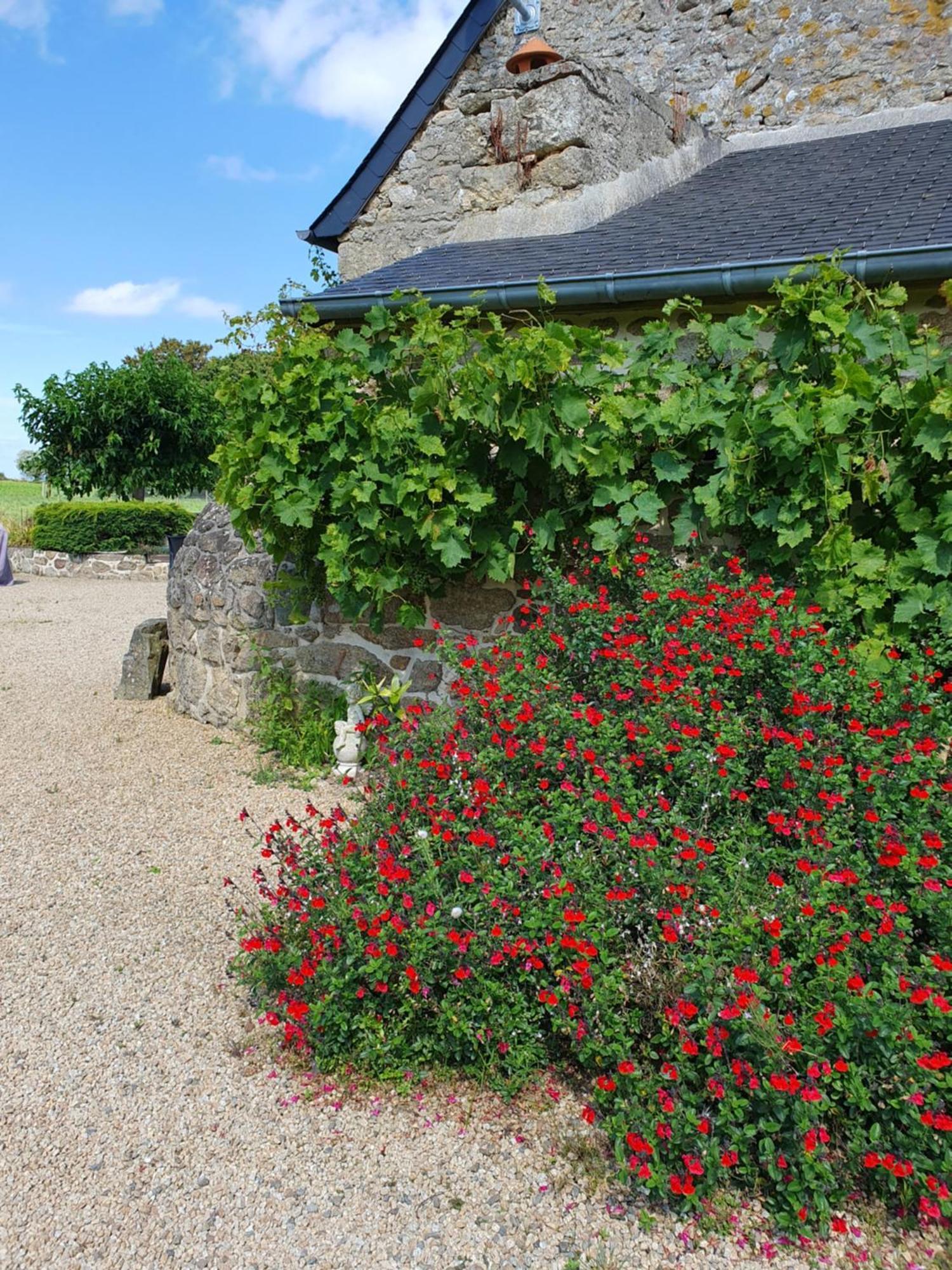 Le Domaine De La Petite Chevre Villa Ploumagoar Exterior photo